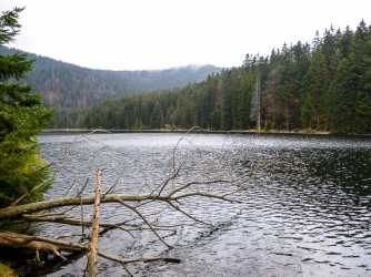 Bayerischer Wald_Luisa Possi (1 von 11)