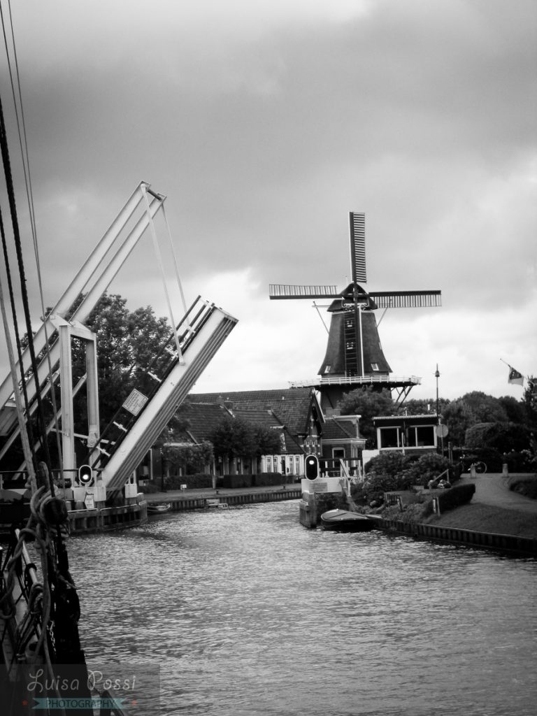 sailing_netherlands-18