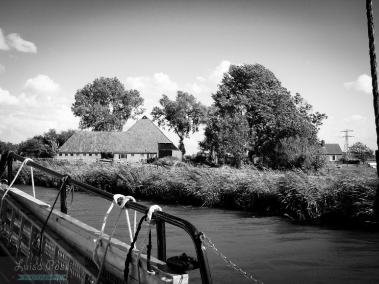 sailing_netherlands-3